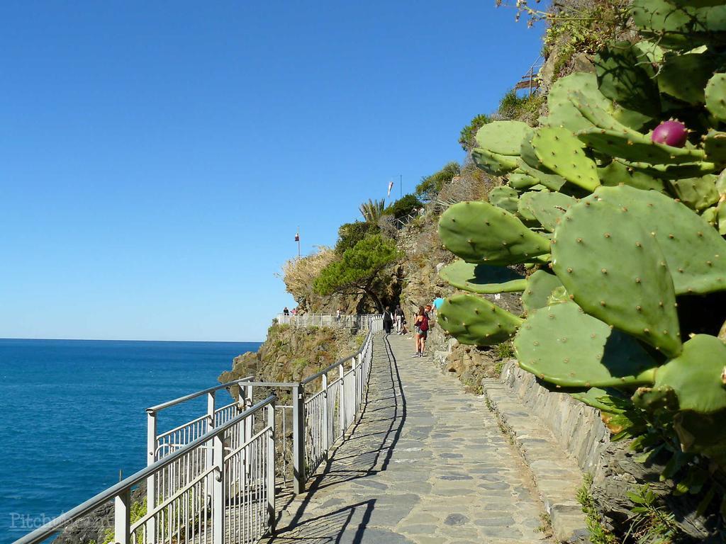 Hotel Camping La Sfinge Deiva Marina Esterno foto